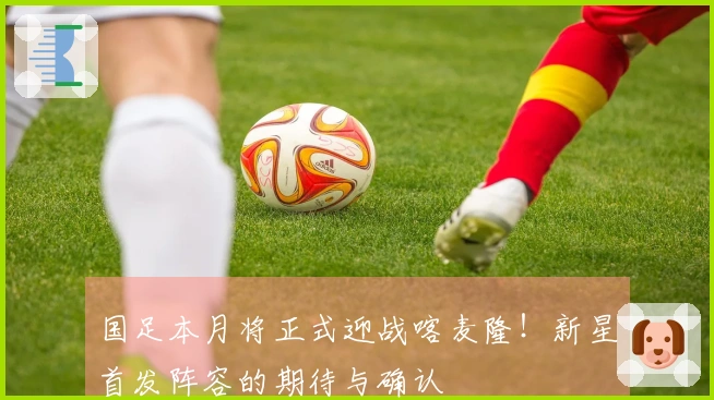 国足本月将正式迎战喀麦隆！新星首发阵容的期待与确认
